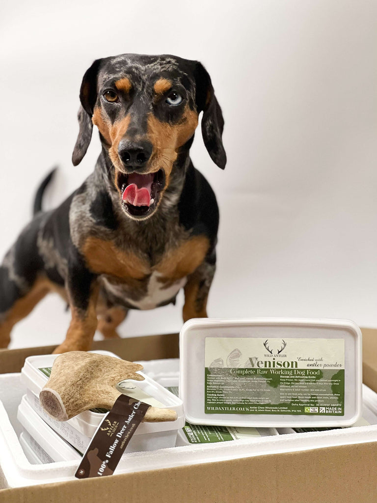 Each meal in the starter pack is meticulously prepared to maintain the natural enzymes and nutrients found in raw venison, promoting superior digestion and energy levels in your pet.