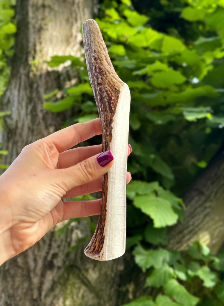 Treat your dog to our premium Elk Antler Chew, a durable and all-natural chew