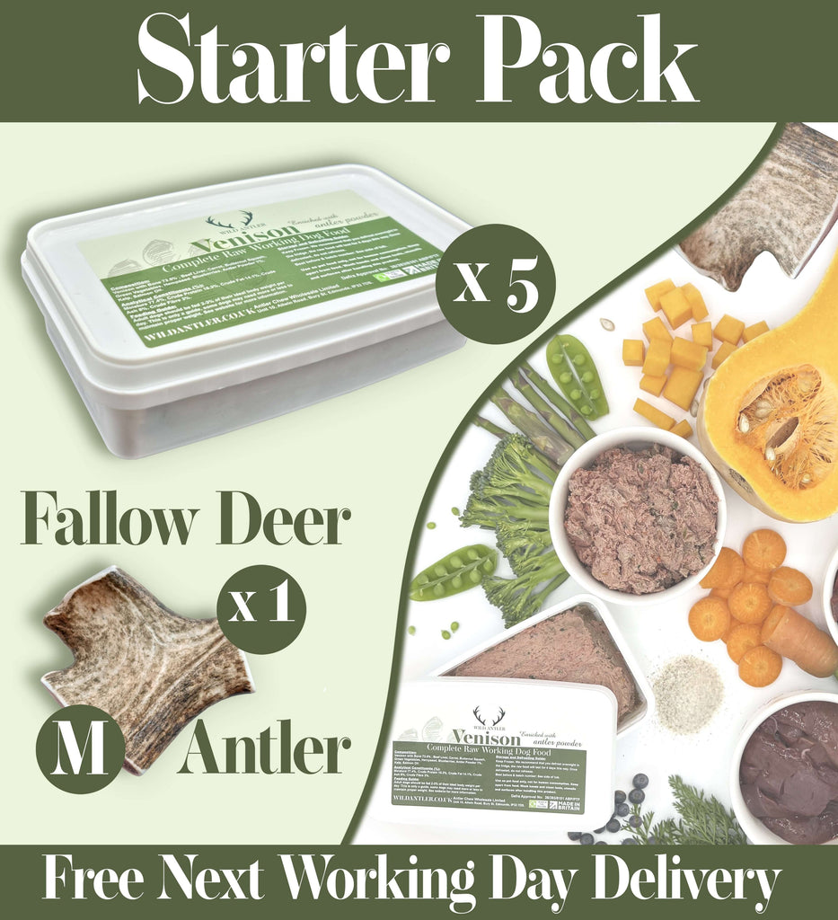 The Starter Pack is perfect for introducing your dog to a raw diet.