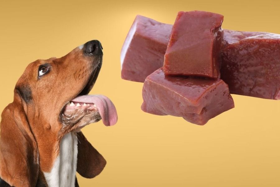 beef liver for dogs