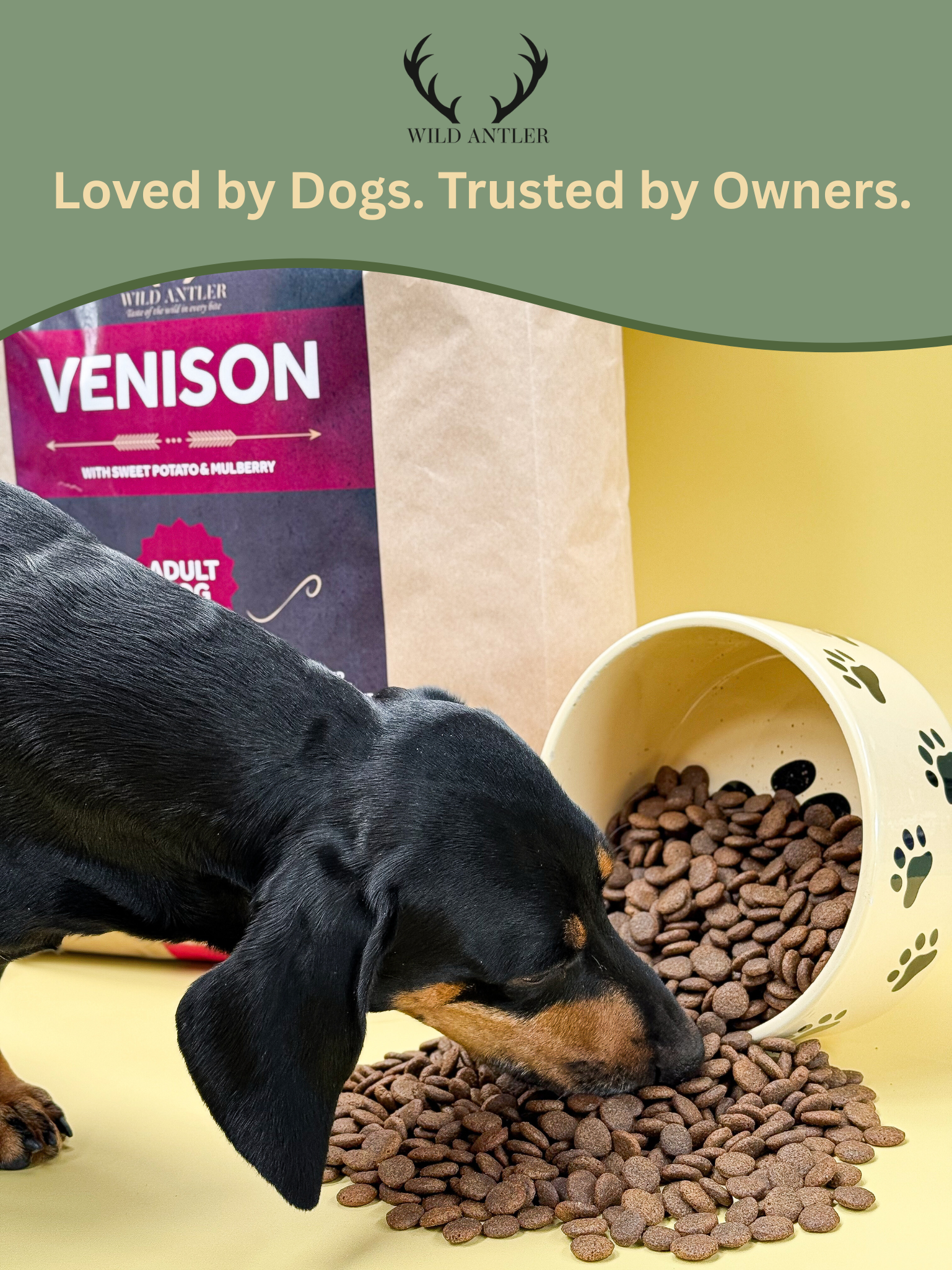 Sweet Potato Venison For Dogs Natural Balance Limited Ingredient