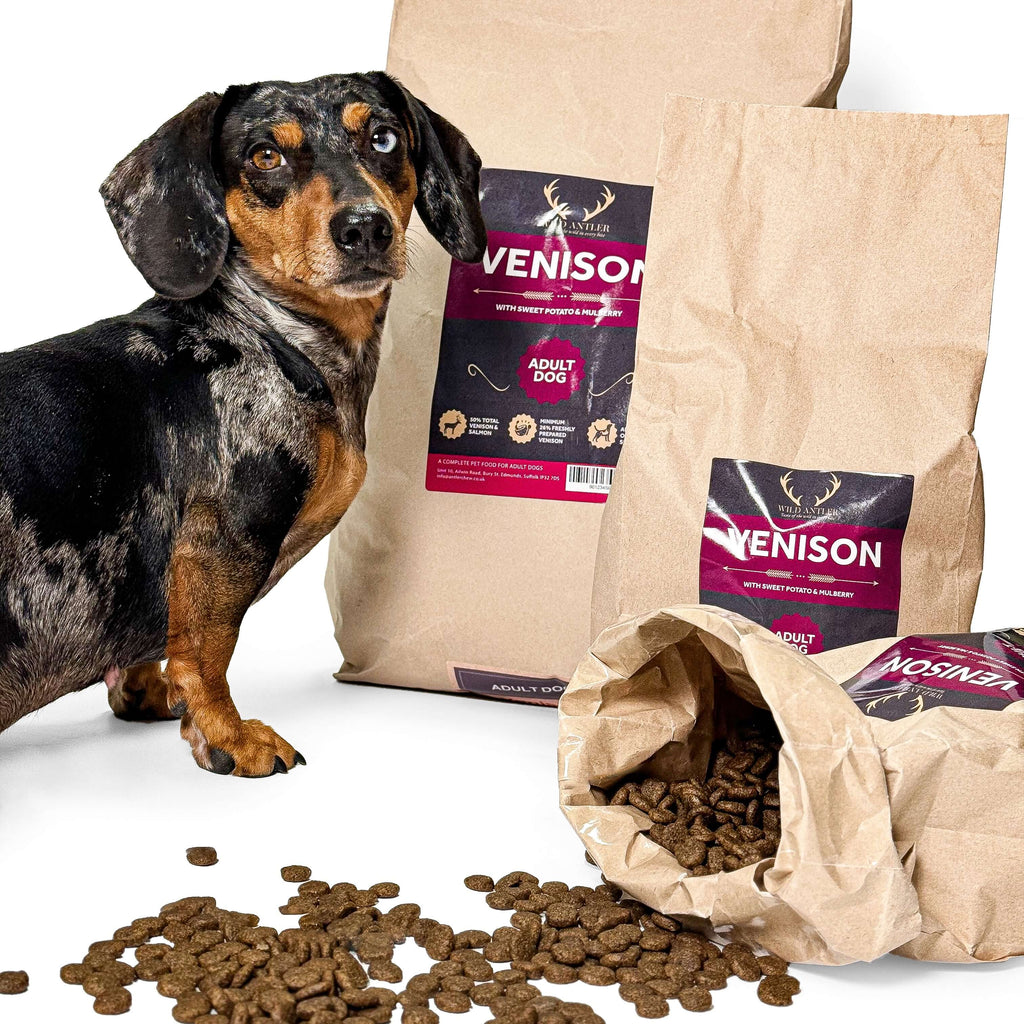 Nutrient-packed venison, sweet potato, and mulberry dog food can for balanced meals.