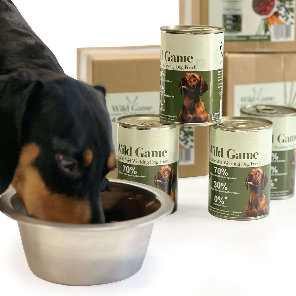 Box of four wet dog food with venison, reindeer, and boar, grain-free formula in 400g tins for active canines.