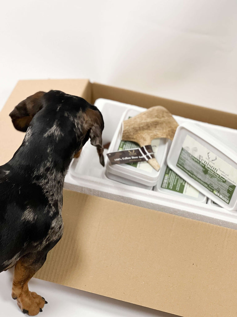 The Starter Pack is perfect for introducing your dog to a raw diet, providing a variety of textures and flavours.