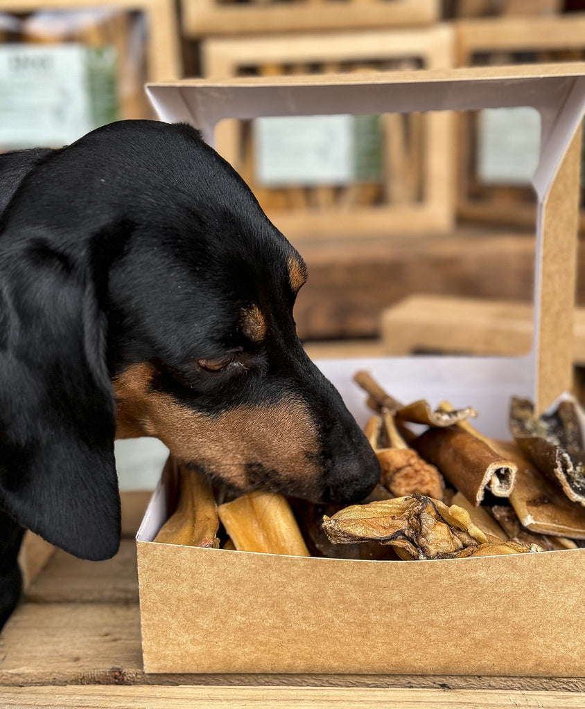 Deer Jerky Chew Box