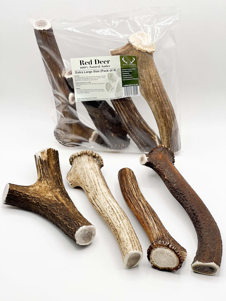 Sourced from wild red deer, these extra-large chews are naturally shed.
