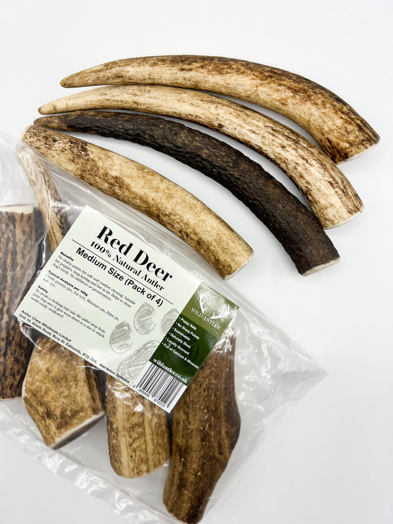 Antler Chew is long-lasting and comes in various sizes to cater to different breeds and chewing strengths, promoting hours of satisfying and mess-free chewing.