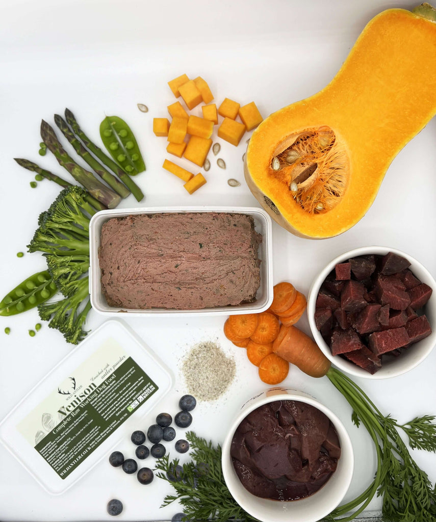 raw venison meals, rich in high-quality protein and essential nutrients, making the transition to raw food easy and stress-free.